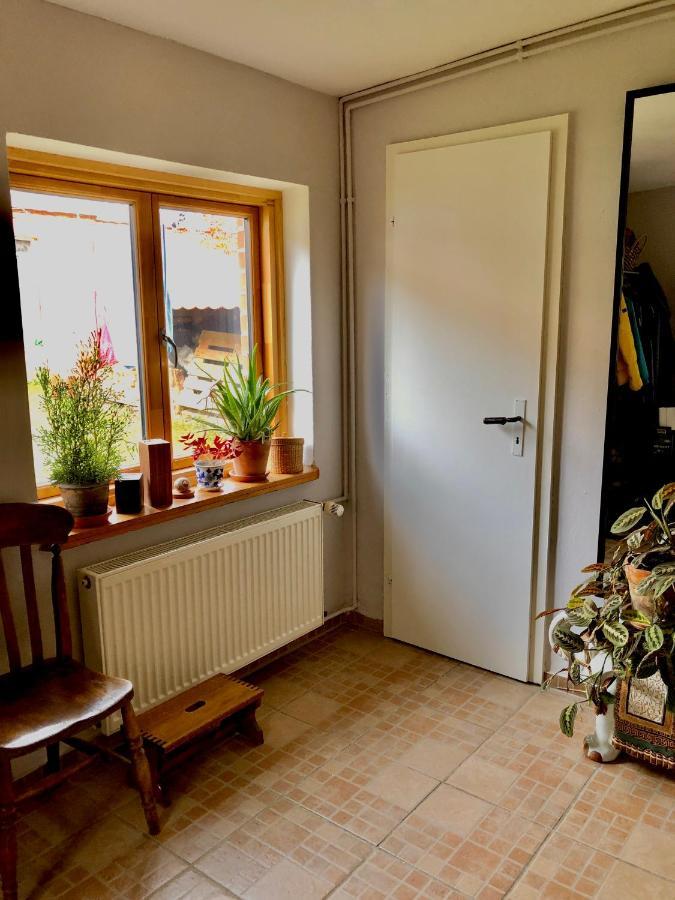 Gemuetliches Studio-Apartment In Ostseenaehe - Cosy Wulfi Probsteierhagen Extérieur photo