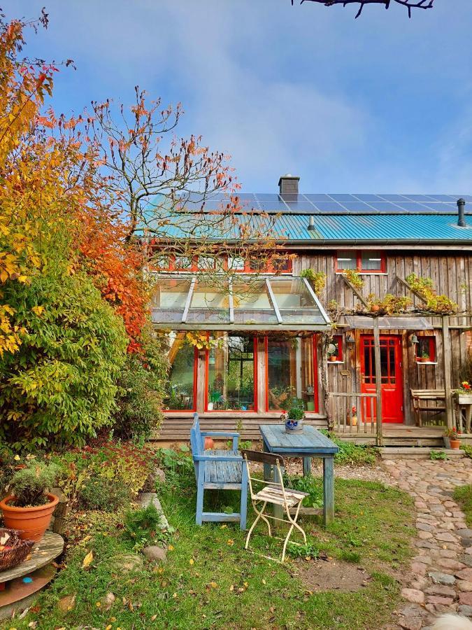 Gemuetliches Studio-Apartment In Ostseenaehe - Cosy Wulfi Probsteierhagen Extérieur photo